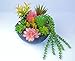 Fake Plants Artificial Succulent Decoration – Faux Unpotted plantas artificiales decorativas, string of pearls cactus, decorative desk plant, shelf decor, small decorations for living room (set of 16)
