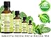 PEPPERMINT ESSENTIAL OIL ORGANIC. 100% Pure Therapeutic Grade, Premium Quality, Undiluted. 0.17 Fl.oz.- 5 ml. by Botanical Beauty