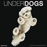 Underdogs 2019 Wall Calendar by