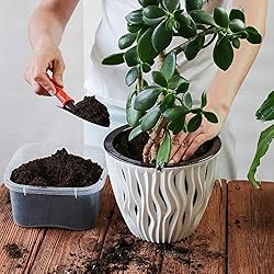 Back to the Roots 100% Organic Indoor Potting Mix