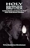 Holy Brother: Inspiring Stories and Enchanted Tales about Rabbi Shlomo Carlebach