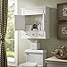 Crosley Furniture Lydia Wall Mounted Bathroom Storage Medicine Cabinet with a Drawer and Shelves, White
