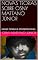 Livro NOVAS TEORIAS SOBRE OSNY MATTANÓ JÚNIOR: NOVAS TEORIAS E EPISTEMOLOGIAS