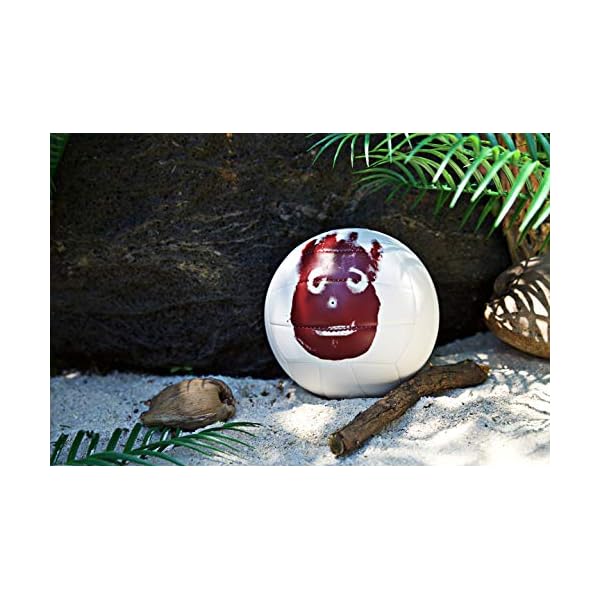 WILSON Outdoor Recreational Volleyball Official Size » La Decade