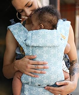 beco gemini positions