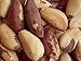 Raw Brazil Nuts By Farm Fresh Nuts (1 LB) by Farm Fresh Nuts