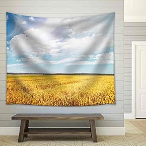 Beautiful View of The Field and The Blue Sky on a Sunny Day - Fabric Wall Tapestry Home Decor - 51x60 inches
