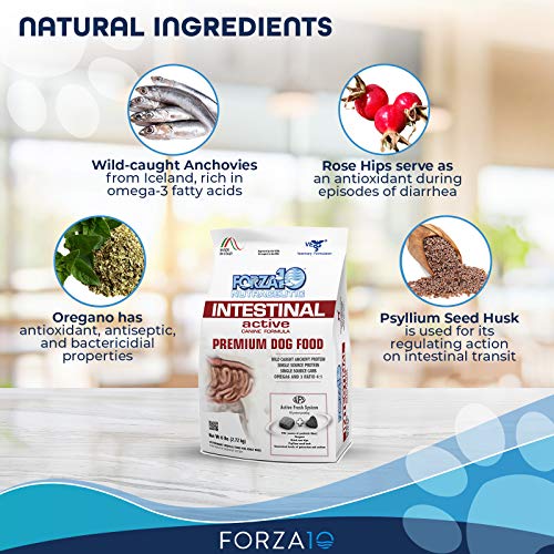 Forza10 Active Intestinal Dry Dog Food Digestive Health, Gluten Free