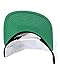 NIKE Unisex Pro Cap Swoosh Classic Hat, White/Pine Green/Black/Black, Misc, One size