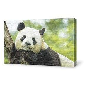 Canvas Wall Art for Living Room,Bedroom Home Artwork Paintings Cute Panda Ready to Hang - 12x18 inches