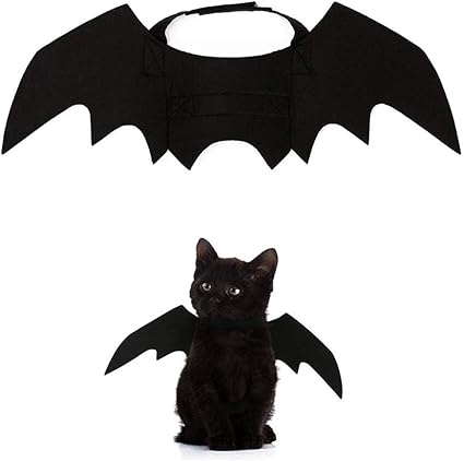 Mayo Halloween Costume Animaux De Compagnie Bat Wings Chat