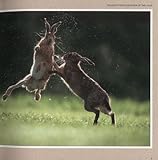 Image de Wildlife Photographer of the Year: Portfolio Eight