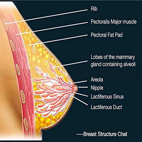 Yctze Body Shaping Massager,New Fashionable Professional Acupoint Cupping Body Shaping Device New Body Massage Machine for Body Care