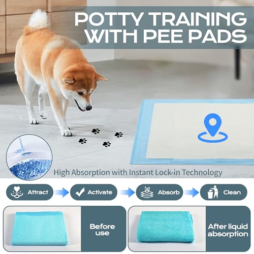 Chumix Pack of 100 Dog Pads 60 x 60 cm, Dog Pads for Puppy Pads at Home, Design of 6 Layers Anti-Leak, Training Wipes for Puppies, Older Dogs (100 Pieces, 60 x 60 cm)