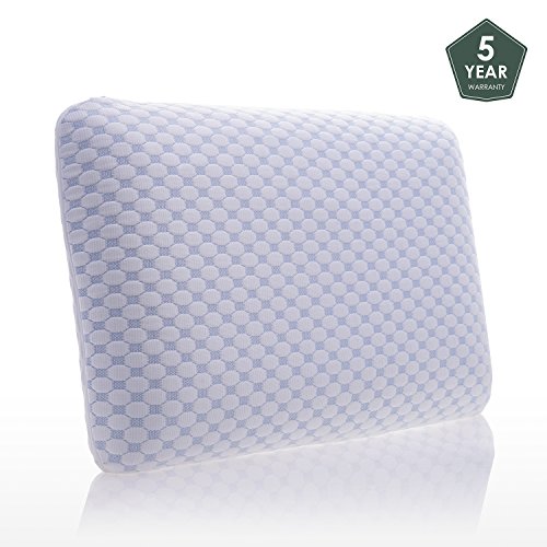 10 best pillow gel memory foam for 2020 All Next