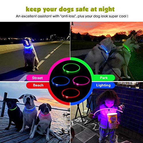 LED Dog Collar, USB Rechargeable Flashing Light Up Collar for Safety at Night, Adjustable Water Resistant Bright Lighted Collar for Small Medium Large Dogs - Thumbnail 6