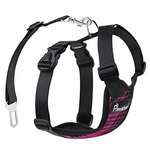 Compare price to jumping harness for dogs