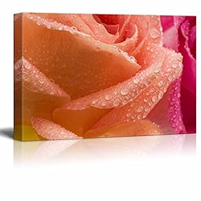 Canvas Prints Wall Art - Coral and Pink Roses with Water Droplets | Modern Wall Decor/Home Decoration Stretched Gallery Canvas Wrap Giclee Print. Ready to Hang - 12" x 18"