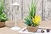 BEGONDIS Artificial Succulents Plants Plastic Fake Topiary Selected Combination with Gray Pot for Home Décor