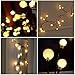 YINGXIANG 8.2Ft Globe String Light，UL Listed String Lights， Hanging Indoor/Outdoor Decorative String Light for Garden,Wedding,Xmas Party,Patio, Backyard,Cafe,Party,Bedroom,Tapestry(Warm White)