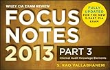 Wiley CIA Exam Review Focus Notes, Inteal Audit Knowledge Elements (Part 3)