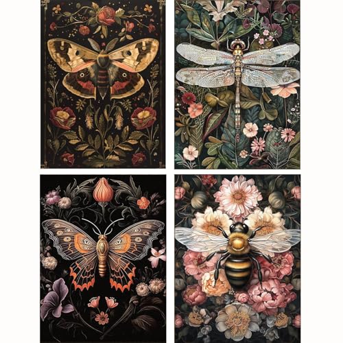 MT21579+MT21580+MT21581+MT21582-UK