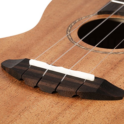 5 Donner+Ukulele+Mahogany+DUT+1+String