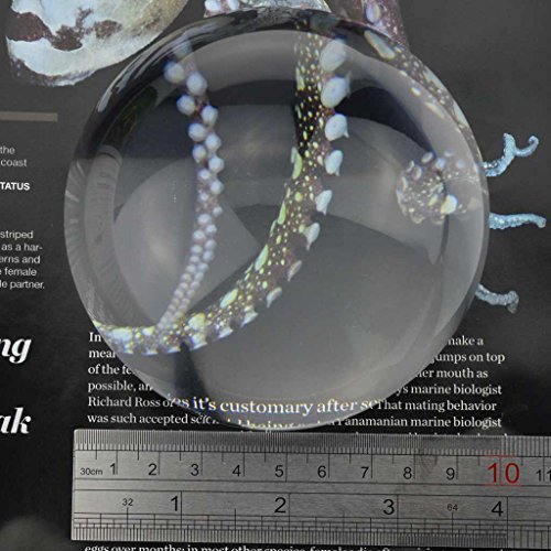 YOCTOSUN 3.8 Inch Crystal Clear Paperweight 5X Dome Magnifier with Gift Box and Polishing Pouch
