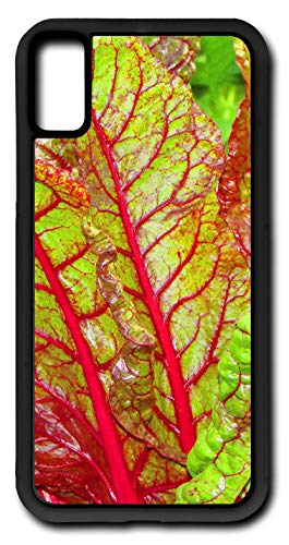 iPhone Xs Case Chard Beta Vulgaris Amaranthaceae Vegetable Plant Customizable by TYD Designs in Black Rubber