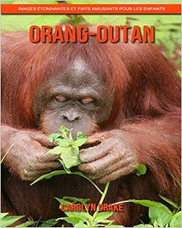 Orang Outan Images Etonnantes Et Faits Amusants Pour Les Enfants French Edition Drake Carolyn Amazon Com Books Orang Outan Images Etonnantes Et Faits Amusants Pour Les Enfants French Edition Drake Carolyn Amazon Com Books