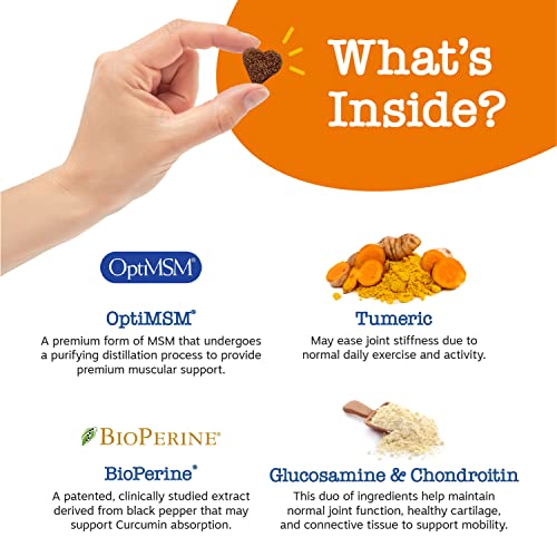 Zesty Paws Senior Advanced Glucosamine for Dogs for Hip & Joint