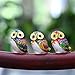 H&D Owl Gifts Jewelry Trinket Box Hinged for Ring Holder - Enamel Animal Owl Figurine Collectible Hand-Painted Gifts
