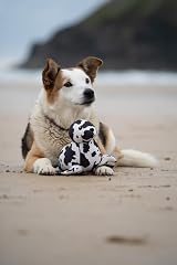 Petface Planet Ocean Cycle Sienna Seal Plush Dog Toy with Squeaker view 6