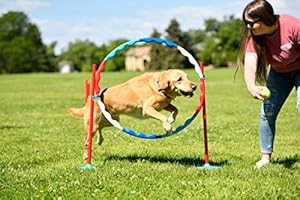 Anw American Ninja Warrior Family Agility Set Backyard