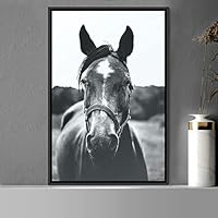 Framed Canvas Wall Art High Contrast Horse Animals Black and White Duotone Expressive Grey Horse Living Room Photography Rustic - 16x24 inches