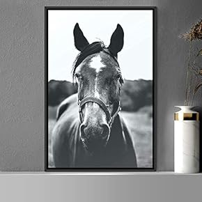 signwin Framed Canvas Wall Art High Contrast Horse...