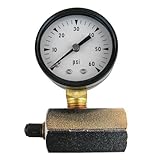 LASCO 13-1905 60 PSI Gas Test-Gauge and Air Chuck with Adapter to 3/4-Inch Female Pipe