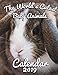 The World's Cutest Baby Animals Calendar 2019: Full-Color Portrait-Style Desk Calendar by Calendar Gal Press
