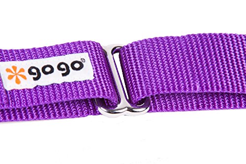 GoGo Pet Products GoGo 3/4-Inch Martingale Dog Collar, Medium, Purple