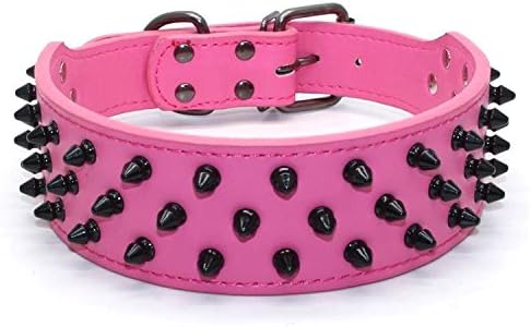 black spiked dog collar