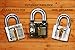 Step UP 3pc Lock Set for Training Practice - Clear Transparent Cutaway Padlocks