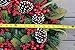 The Wreath Depot Tunbridge Winter Berry Wreath 24 Inch, Beautiful and Full Christmas Door Wreath, Designed in USA, White Gift Box Included