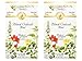 Celebration Herbals Black Cohosh Root Tea, Organic, 24 Teabag (2 pack)