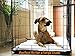 Large Dog Bed – Waterproof – Fits Large Dog Crate Mat 42 x 28 Inch – Use Indoor, Outdoor or Roll up for Travel – Great for Small Medium or Large Dogs – Portable and Washable