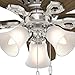 Hunter Fan Company, 51092, 42 inch Builder Low Profile Flush Mount Ceiling Fan with Lights, LED Light Kit, Pull Chain, Brushed Nickel Finish