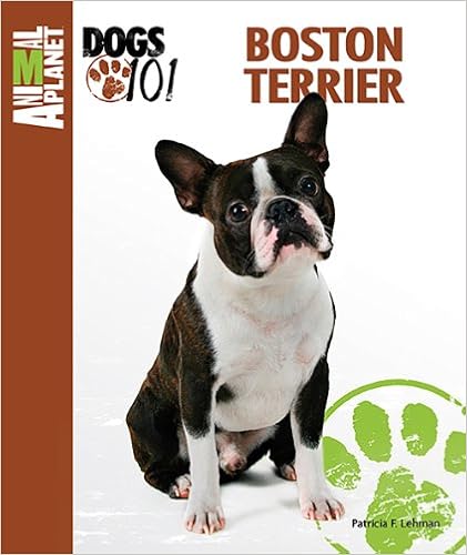 Boston Terrier (Animal Planet Dogs 101) �n�[�h�J�o�[  - 2013/12/1