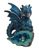 Atlantic Collectibles Adorable Quartzite Blue Baby Dragon On Fossil Cove Figurine 5