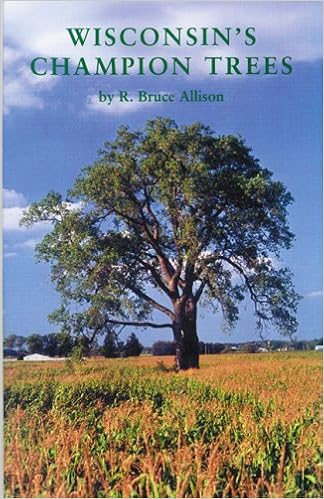 Amazon Com Wisconsin S Champion Trees A Tree Hunter S Guide 9780913370186 Allison R Bruce Hoffman B Wolfgang Rideout Dick Books