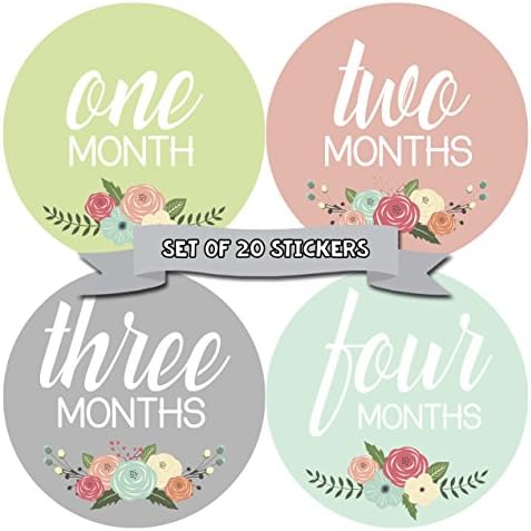 Months In Motion Baby Monthly Milestone Stickers - First Year Set of Baby Month Stickers for Photo Keepsakes (Girl Set of 20)