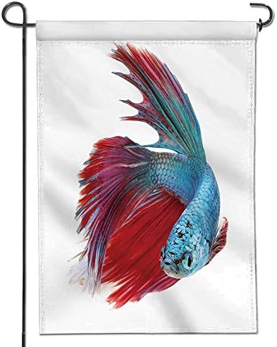 AmaPark Inspirational Garden Flag betta fish siamese fighting fish betta splendens halfmoon betta isolated on white background Double-sided,Polyester,Great Design Yard Flag 12" x 18"
